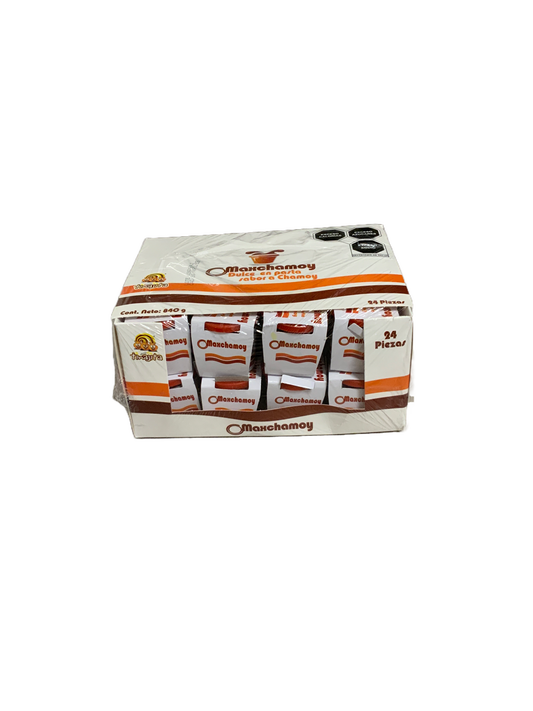 Tinajita - Maxchamoy Dulce en pasta Sabor a Chamoy 24 pc 840g